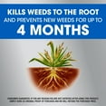 thumbnail image 4 of Roundup Dual Action Weed & Grass Killer Plus 4 Month Preventer, 1 gal., 4 of 16