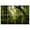 Color 4, variant on 8 Pack Art Acoustic Panels Sound Absorbing Jungle forest trees Decorative Soundproof Wall Panels Self Adhesive for Recording Studios Office 48"x32"