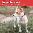 thumbnail image 4 of Light Up Dog Collar, Dog Lights for Night Walking USB Rechargeable Waterproof 7 Colors LED Dog Collar Adjustable for Small Medium Large Dogs Glow in t, 4 of 4