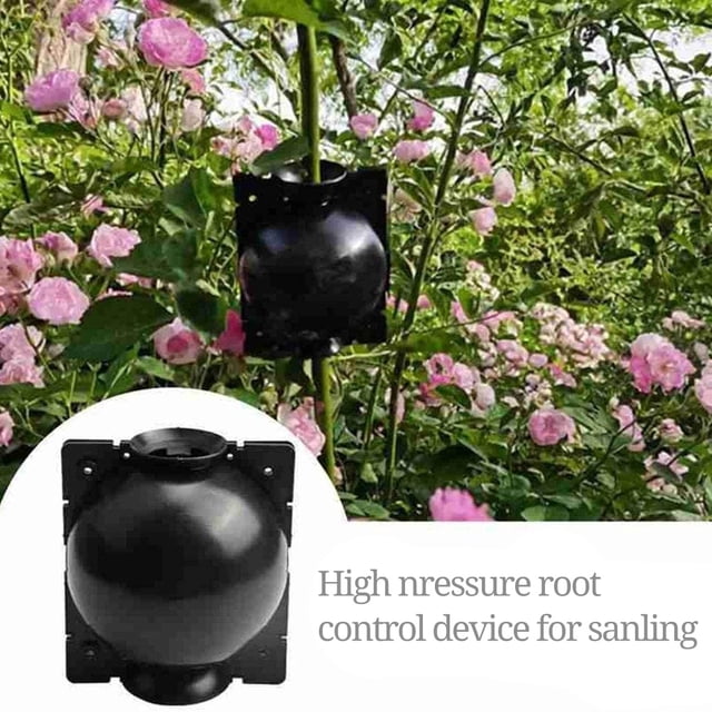 3pcs Plant Rooting Sphere Graft Rooting Growing Box Breeding Crate for Garden Plants