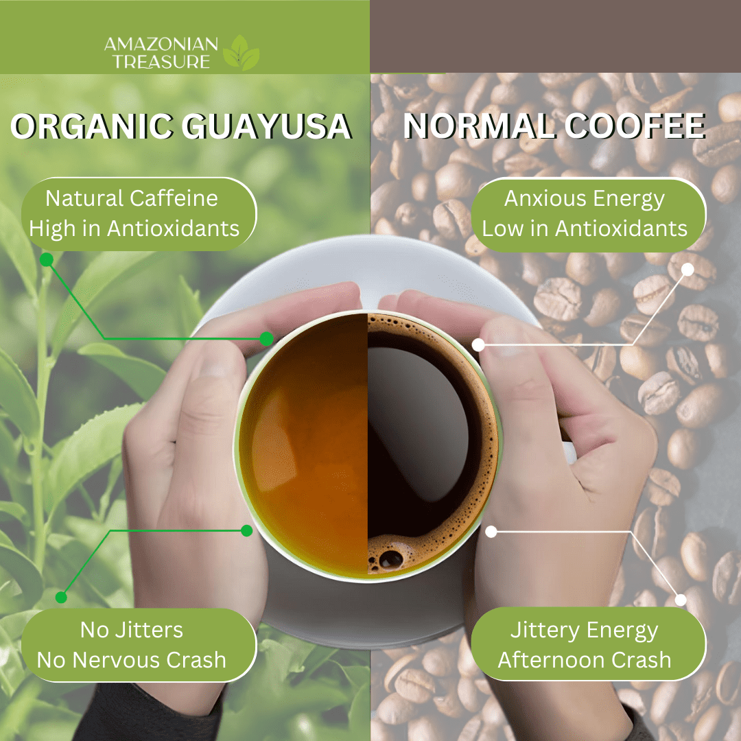 Amazonian Treasure, Organic Guayusa Tea Bags - 60 Count, Coffee Alternative, 50mg Natural Caffeine, Energy & Focus Booster, Freshness Preserving Tin, Perfect for a Gift.