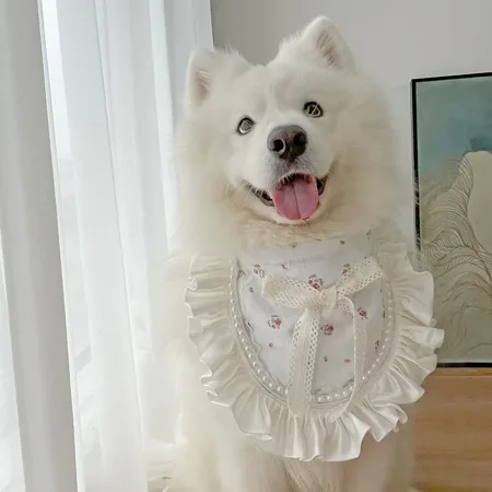 Pet Original Design Pearl Bandana for Large Dogs Medium Cat Pet Collar Satsuma Golden Hair Collar Scarf Dog Jewelry (A M)
