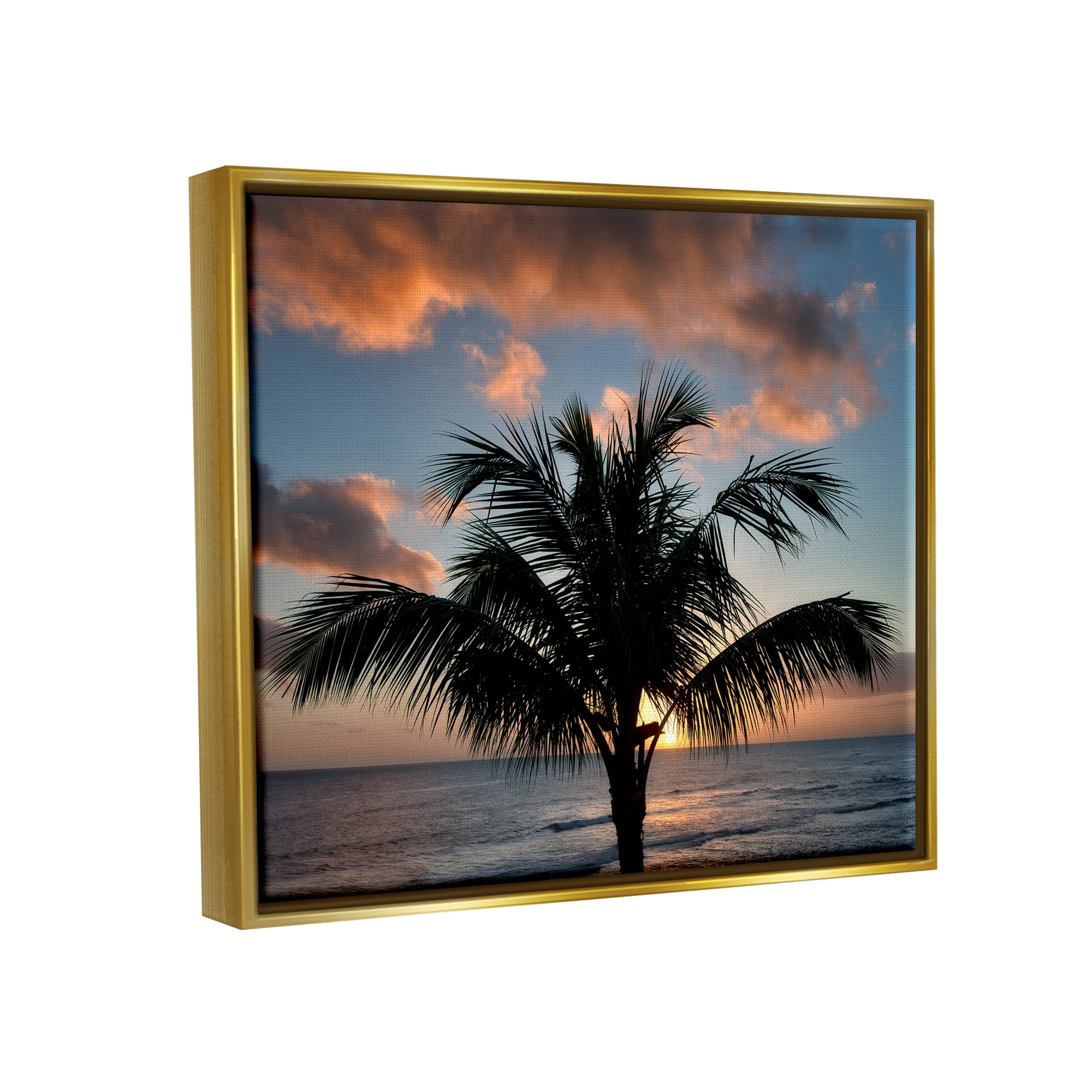 Stupell Industries Tropical Palm Photography Nature Photography Gold Floater Framed Art Print Wall Art, 21 x 17