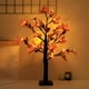 thumbnail image 1 of Seyotauo 21.6 inch LED Artificial Lighted Maple Tree, Fall Decor for Home, Maple Tree Fall Decorations Warm Light for Indoor Outdoor Autumn Harvest Halloween Thanksgiving, 1 of 6