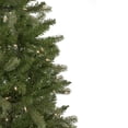 thumbnail image 4 of Northlight 7.5' Pre-Lit Wicklow Noble Fir Artificial Christmas Tree, Clear Lights, 4 of 7