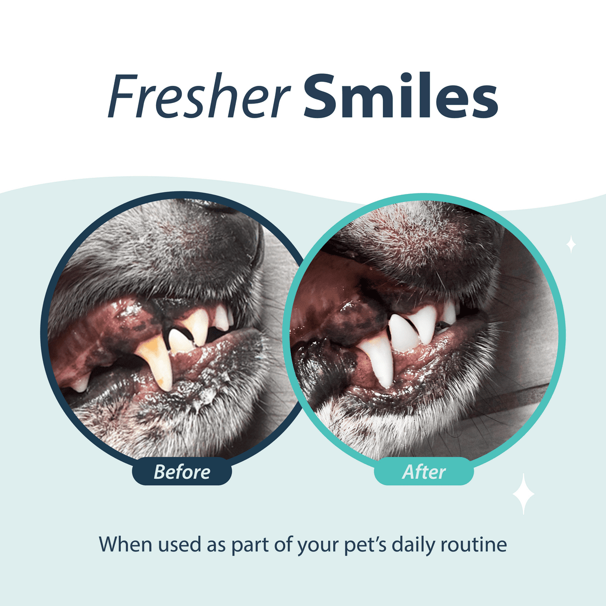 (3 pack) Dental Fresh Water Additive for Dogs & Cats, Original Formula, 17oz