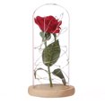 thumbnail image 1 of CAROOTU LED Rose Flower Decor Battery Powered String Light Desk Lamp Romantic Valentine's Day Gift, 1 of 7