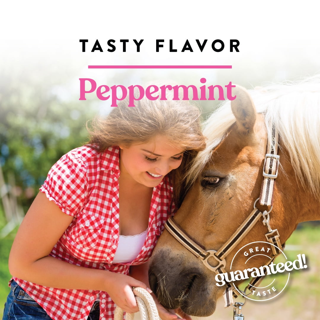 Manna Pro Bite-Size Nuggets Horse Treats, Peppermint Flavor, 1 lb