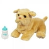 FurReal Newborn Golden Retriever Pup