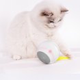 thumbnail image 1 of Flmtop Pet Toy Self Rotating Automatic ABS Rechargeable Cat Toy Ball for Puppy Grey, 1 of 9