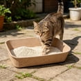 thumbnail image 4 of 4 Pack Recyclable Pulp Disposable Cat Litter Box Large Portable Odor Control Pan for Indoor Cats Small Pets Travel Camping Toilet Use, 4 of 4