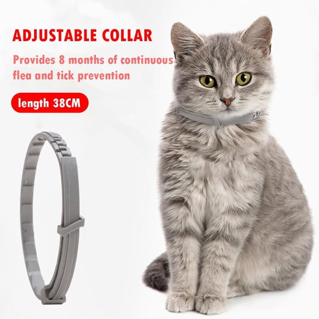 Collar antipulgas y garrapatas para perros y gatos Collar repelente de insectos antimosquitos (38 cm)