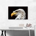 thumbnail image 2 of ARTCANVAS Bald Eagle Portrait Home decor Canvas Art Print - Size: 26" x 18" (0.75" Deep), 2 of 9