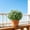 350#Green, variant on Ground Insert Artificial Green Foliage Plant Decor, Wind Resistant Long Lasting Outdoor Shrub Ornament, Easy Install Landscape Embellishment For Garden Lawn Courtyard Halloween Yard Layout