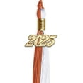 thumbnail image 2 of Endea Graduation Burnt Orange/White Graduation Tassel with Gold Date Drop, 2 of 9