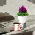 thumbnail image 6 of 2PCS Artificial Potted Small Greenery,Realistic Mini with Flowers for Indoor Home Decor,Desktop Table Centerpiece for Bathroom,Farmhouse Displays,Mother's Day,Christmas Gifts, 6 of 6