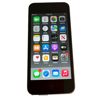 Apple iPod touch - 6th generation - digital player - Apple iOS 12