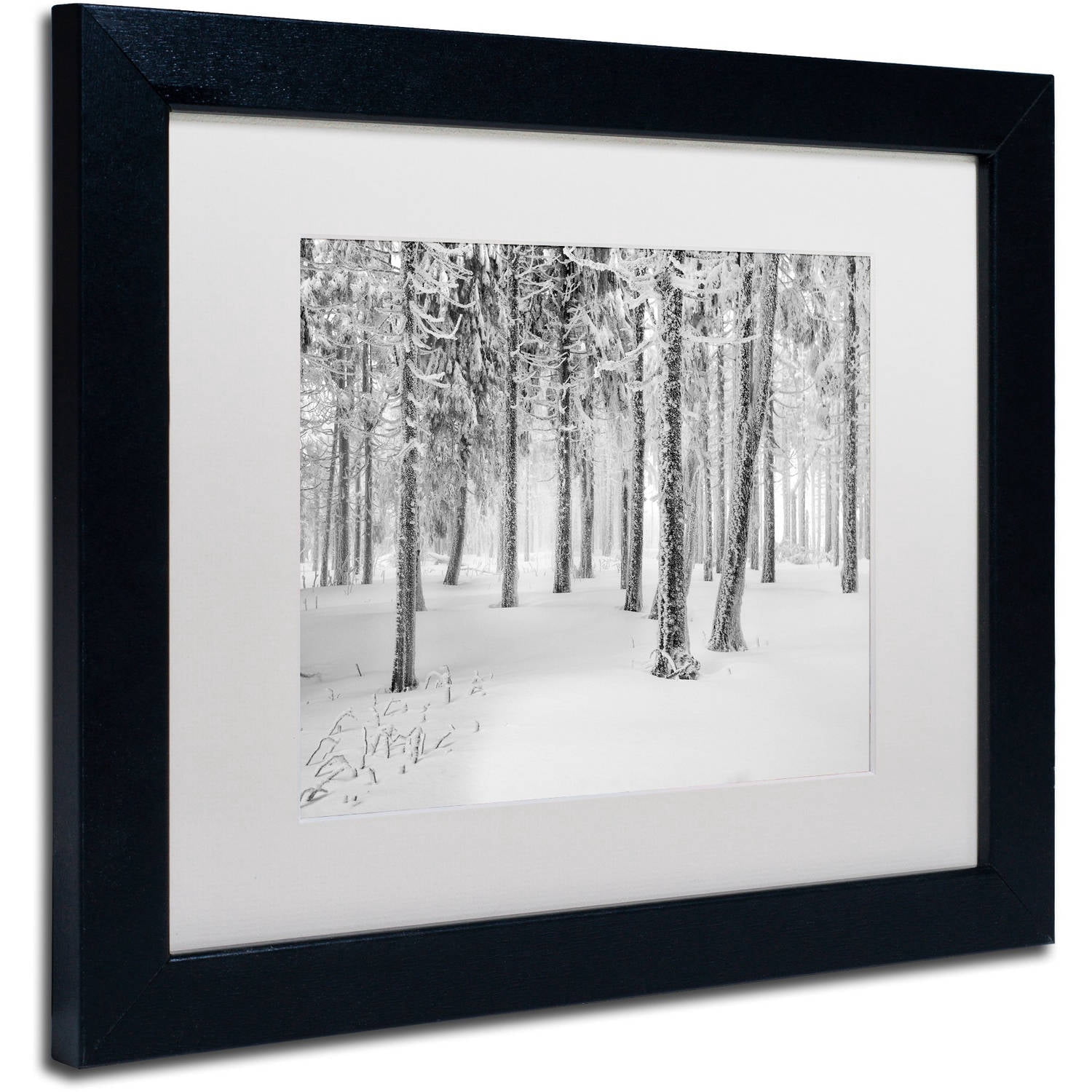 Trademark Fine Art "Frozen World" Canvas Art by Philippe Sainte-Laudy, White Matte, Black Frame