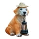 thumbnail image 4 of Labrador perro luz solar jardín estatua césped ornamento resistente a la intemperie encantadora decoración al aire libre para, 4 of 9