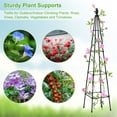 thumbnail image 4 of 2 Pack Garden Trellis for Climbing Plants Outdoor, Plant Support Tower Obelisk Trellis 63'' Garden Trellises for Vines, Flowers, Indoor Potted Plant, Rose, Cucumber, Tomato, Pea, Clematis, 4 of 8