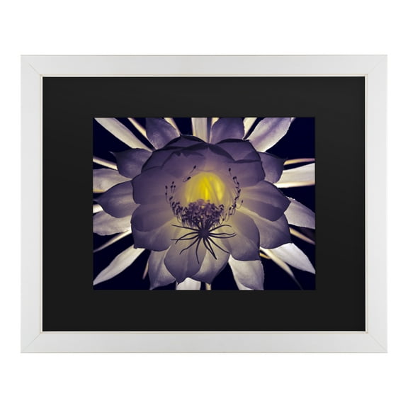 Trademark Fine Art 'Night Angel' Canvas Art by Kurt Shaffer