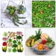 thumbnail image 2 of 24 piezas de suculentas simuladas, plantas decorativas para pared, plantas artificiales, 2 of 5