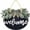 black, variant on DEBGFS Welcome Sign Welcome Front Door Round Wood Sign Hanging Welcome Sign for Farmhouse Porch Welcome Sign Front Door Decoration,brown