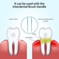 thumbnail image 3 of Cepillos interdentales Cowwell, 60 piezas, blancos, palillos dentales, 3 of 7
