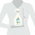 Find Your Perfect Great Value Original Clean Fabric Refresher with Oxi, 27 oz