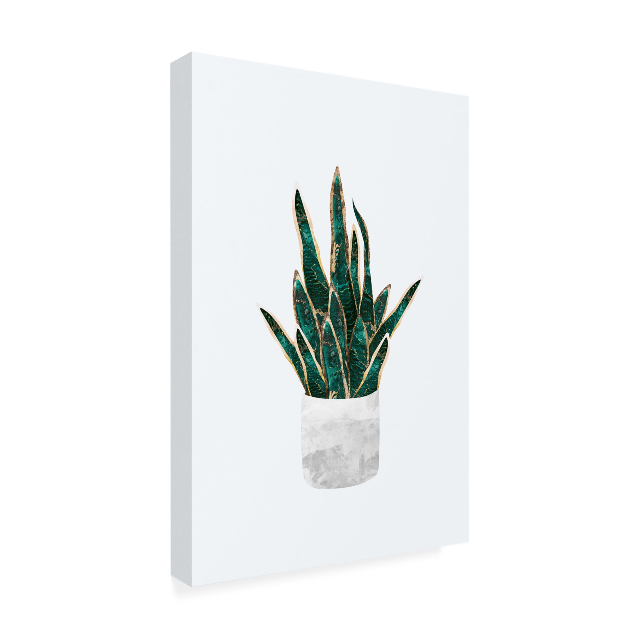 Trademark Fine Art Sarah Manovski  Snake Plant Canvas Wall Art
