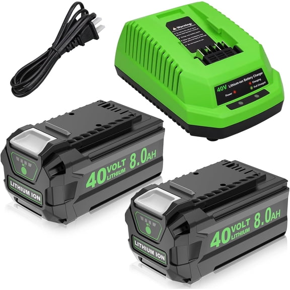 2Pack 8.0Ah 40 Volt Lithium 29462 29472 Battery and 29482 Charger Compatible with GreenWorks 40V GMAX Power Tools