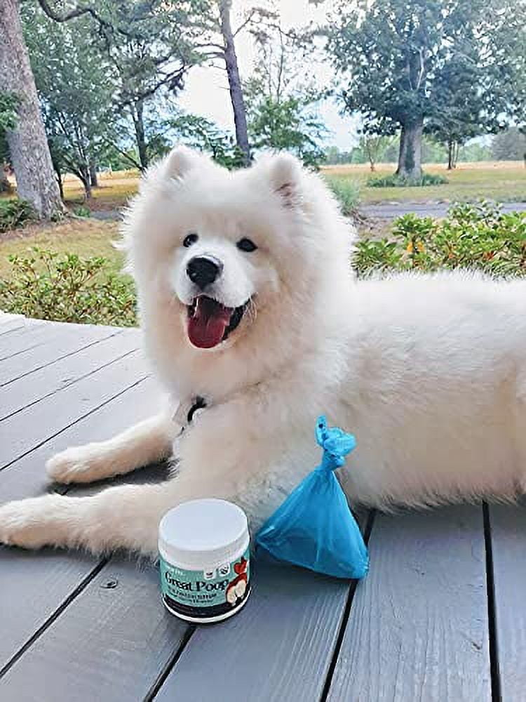 Great Poop Probiotics for Dogs - Fiber for Dogs Supplement with Dog Probiotics and Digestive Enzymes for a Healthy Gut, Firm Stool & Diarrhea Relief - Chicken Flavored Pet Soft Chews with Prebiotics