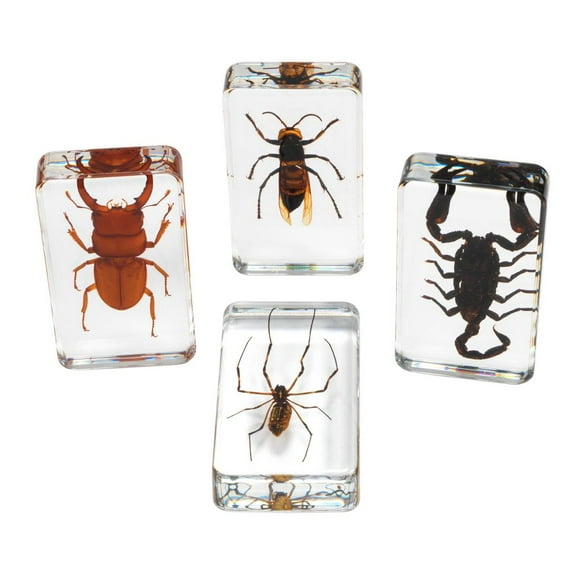 Excellerations Acrylic Scary Bug Specimens ? Set of 4