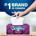 thumbnail image 3 of Scotties Supreme Facial Tissue, 3-ply, 88 sheets per box -6pk {Canadian}, 3 of 4