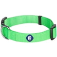 thumbnail image 1 of Blueberry Pet Essentials Collar Clásico Para Perro, 22 Colores, Verde Neón, Cuello Pequeño, Collares De Nailon De 12 A 16 Pulgadas Para Perros, 1 of 8