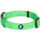 thumbnail image 1 of Blueberry Pet Essentials Collar Clásico Para Perro, 22 Colores, Verde Neón, Cuello Pequeño, Collares De Nailon De 12 A 16 Pulgadas Para Perros, 1 of 8