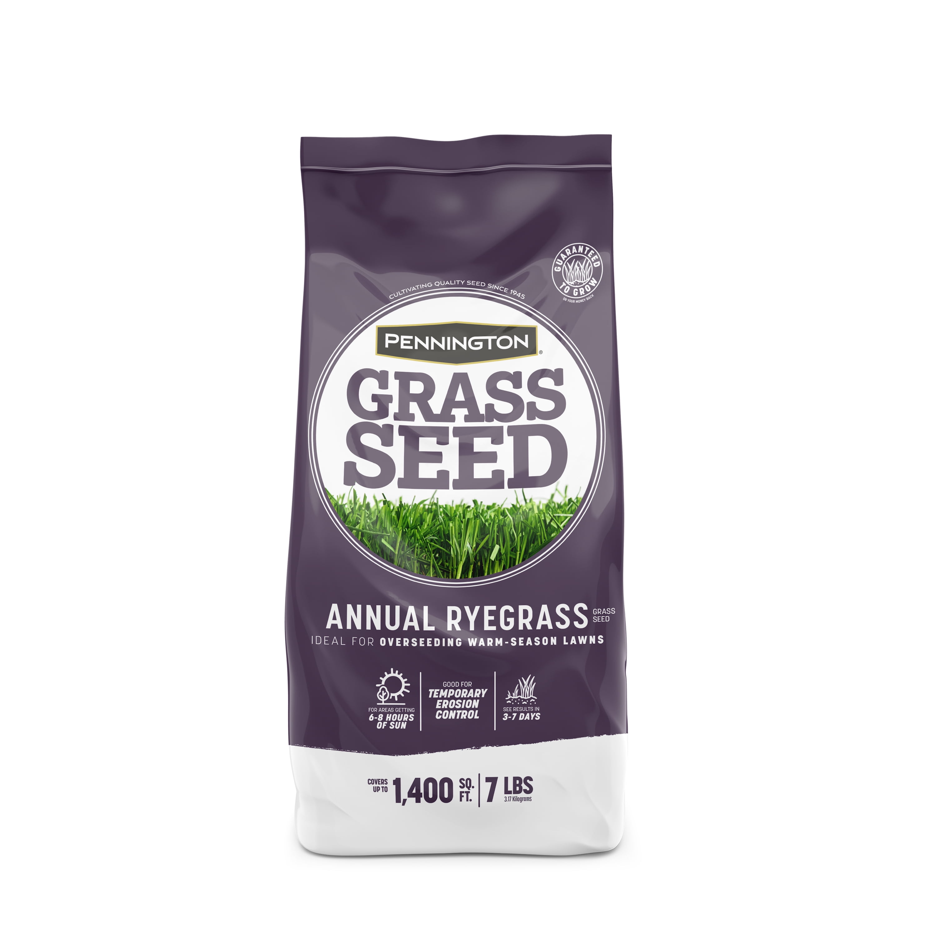 Pennington Annual Ryegrass Grass Seed, for Quick Repair and Winter