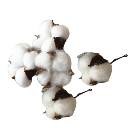FUEENIRVA 5Pcs Artificial Cotton Branches Multi Color Cotton Flower Decor for Rustic Event Decoration