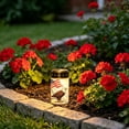 thumbnail image 5 of PEIBang Patriotic Solar Light Outdoor Decorations,American Flag Eagle Solar Light Waterproof LED Lighting for Garden Lawn Grave Decorations, 5 of 6