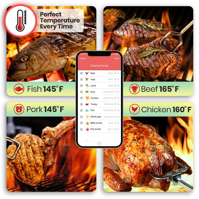 NutriChef Smart Bluetooth BBQ Thermometer with Travel Zip Case, Upgraded  Stainless w/ 2 Temperature Probes, LCD Display, Done Alarm Android iPhone