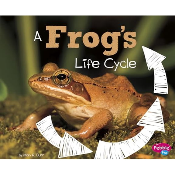 Pre-Owned A Frog's Life Cycle (Paperback) 1515770583 9781515770589