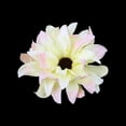 thumbnail image 3 of 20x Clip Pinza de Flor Artificial Yotijar margarita rosa claro, 3 of 10