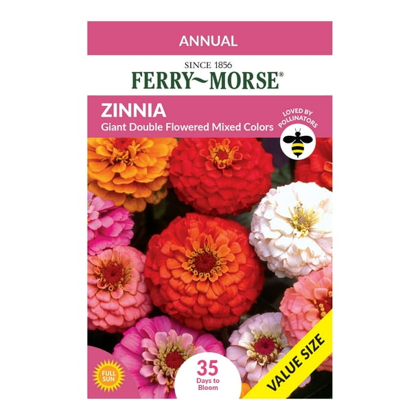 FerryMorse Value Pack Zinnia Giant Double Flowered Mixed Color Annual