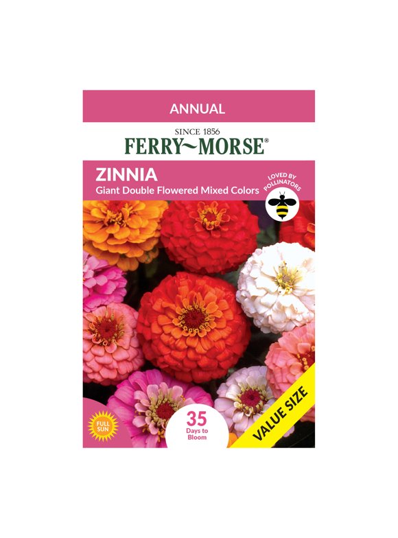 Zinnia Flower Seeds in Seed Gardening