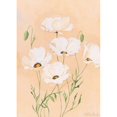 thumbnail image 2 of White poppy II Poster Print by Nathalie Boucher, 2 of 2