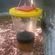 thumbnail image 4 of No supply No supply No supply, 4 of 8
