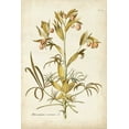 thumbnail image 2 of Plenk, J.J. 13x18 Black Ornate Wood Framed with Double Matting Museum Art Print Titled - Elegant Botanical II, 2 of 4