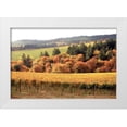 thumbnail image 3 of Maureen Love 14x11 White Modern Wood Framed Wall Art Titled - Fall in Wine Country I, 3 of 5
