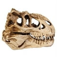 thumbnail image 4 of Individuality Unique Resin Dinosaurs Skull Model for Indoor, 4 of 10