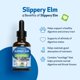 thumbnail image 4 of Suplemento Pet Wellbeing Slippery Elm para gatos, 59 ml, 4 of 8